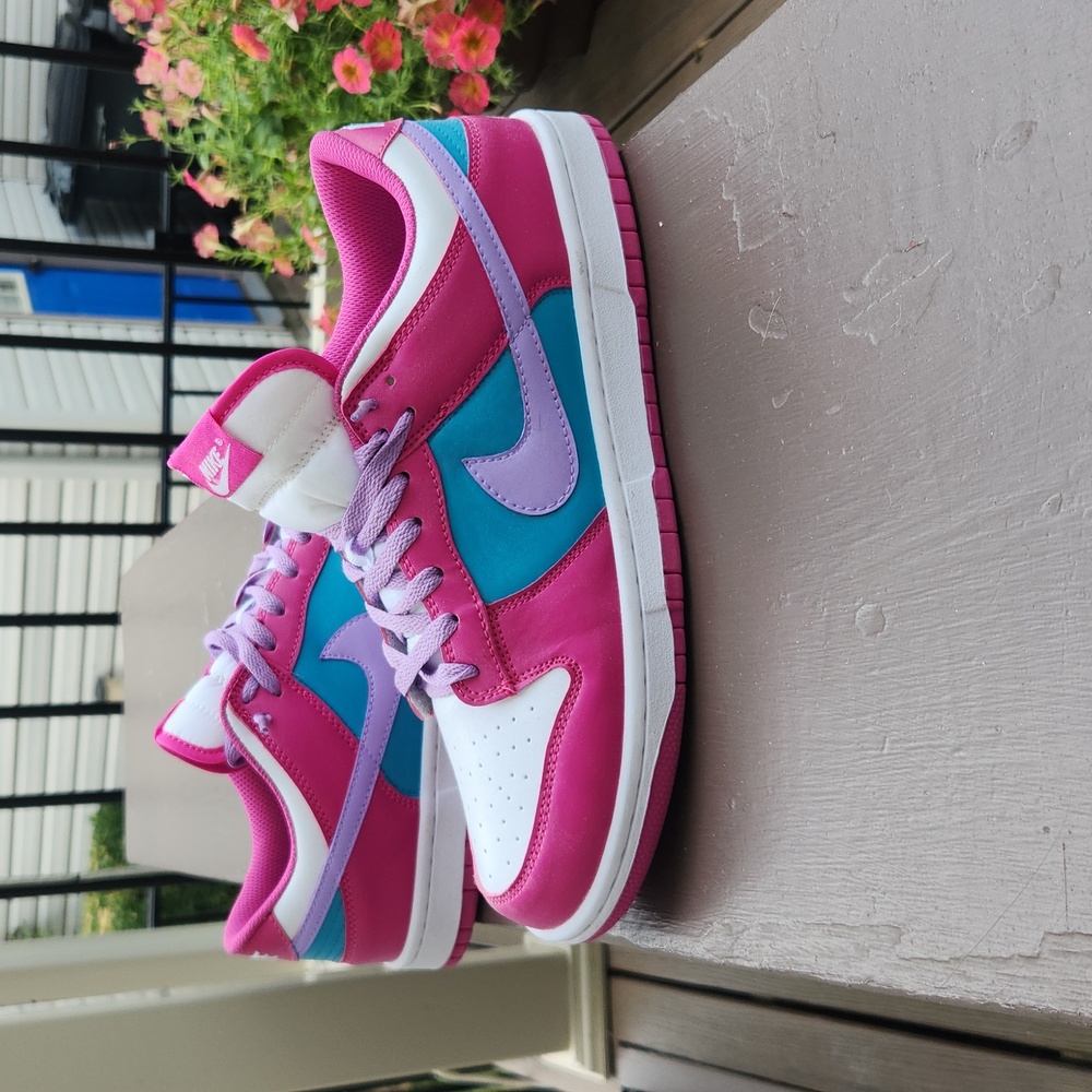 Custom nike dunk lows